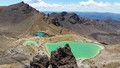 NZ